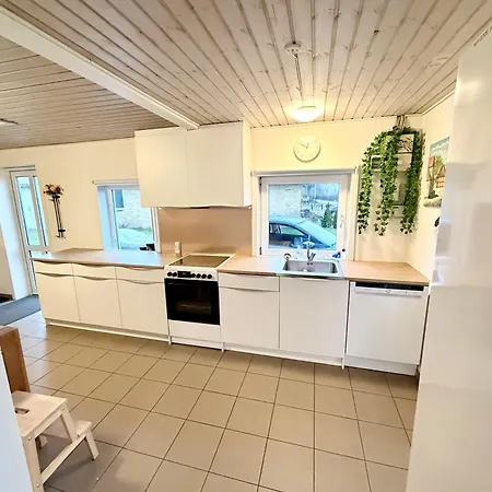 Amtoft Vig Kitespot Vesløs